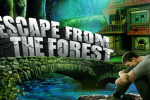 Ena Escape From Forest