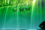 Waterfalls Forest Escape