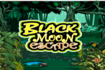 Black Moon Escape