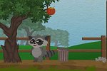 Raccoon's Adventure