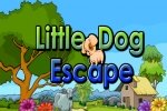 Little Dog Escape