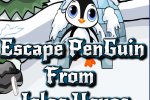 Ena Escape PenGuin From Igloo House