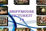 Sniffmouse PictureIt 14