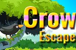 XG Crow Escape
