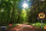 Forest Journey Escape Game
