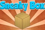 Sneaky Box