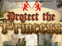 Protect the Princess