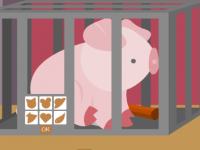 Free the pigs
