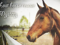 Lost Horse Rescue Mystery