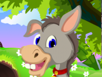 Funny Donkey Rescue