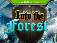 H247 Into the Forest