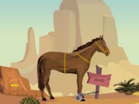 Rancher Horse Escape