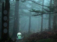 Death Forest Escape