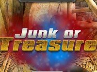 Junk of Treasure