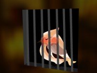 Sparrow Cage Escape