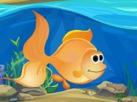 Goldfish Rescue