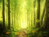Lost Girl Fantasy Forest Escape