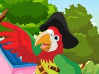 Pirate Parrot Rescue