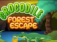 Mirchi Crocodile Forest Escape