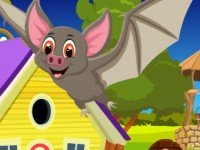 Cute Bat Rescue