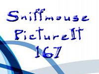 Sniffmouse PictureIt 167