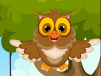 Cute Owl Rescue