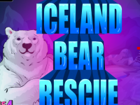 Iceland Bear Rescue
