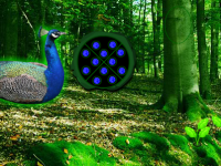 Peafowl Forest Escape