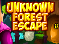 Unknown Forest Escape