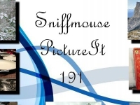 Sniffmouse PictureIt 191
