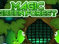 Magic Green Forest