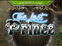 Quest for Lost Prince