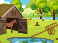 Cowboy Horse Rescue