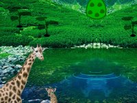 Giraffe Lake Forest Escape