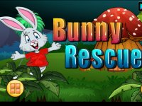 Nsr Bunny Rescue