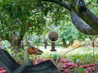 Archaeopteryx Bird Forest Escape