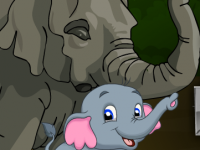 The Elephat Rescue