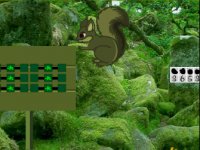 Green Bush Squirrel Forest Escape