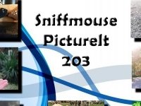 Sniffmouse PictureIt 203
