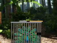8b Peacock Escape