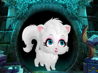 Cute White Cat Rescue 2018