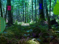 Spirited Fantasy Forest Escape