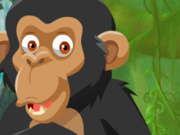 Chimpanzees Escape