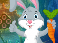 Carrot Rabbit Rescue