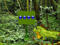 Iguana Forest Escape