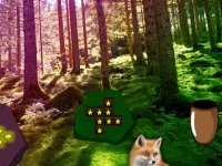 Blue Eyed Fox Forest Escape