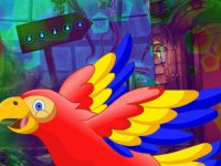 g4k Colorful Parrot Escape