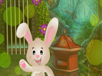 G4K Bunny Rescue