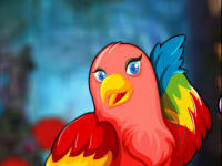 Colourful Bird Escape