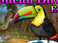 Cute Toucan Bird Escape